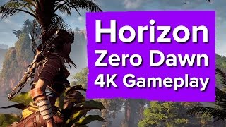 Horizon Zero Dawn PS4 Pro gameplay 4K footage [upl. by Ahsenit]