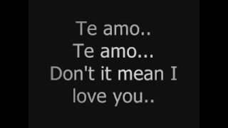 Rihanna  Te Amo Lyrics [upl. by Assila437]