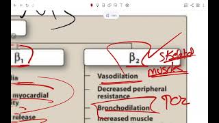 ZU Pharmacology  Lecture 15 Sympathomimetics [upl. by Gudrin40]