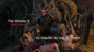 Geralt Vs Imlerith No Oils No Potion lvl 34  The Witcher Wildhunt [upl. by Nylkaj]