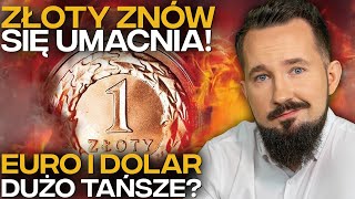 DLACZEGO ZŁOTY ZYSKUJE DOLAR i EURO najtańsze OD LAT BizON [upl. by Alanah]