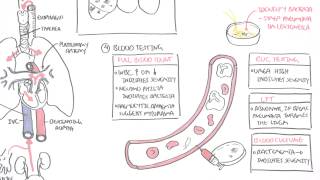 PART II  Pneumonia Transmission Causative Agents Investigations Management [upl. by Reace18]