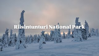 LAPLAND DAY 3 RIISINTUNTURI NATIONAL PARK [upl. by Nyllek]