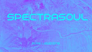 The Best Of Spectrasoul Pure Liquid No 246 [upl. by Amolap]