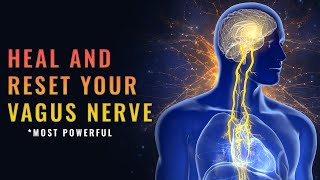 174 Hz vagus nerve stimulation music  Alpha Waves Reset Vagus Nerve Release Trauma From Your Body [upl. by Trilly]