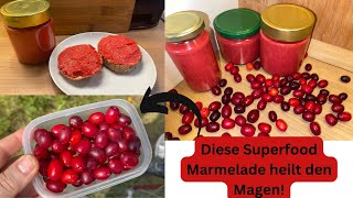 Gesunde Marmelade aus der vergessenen Wildfrucht Kornelkirsche [upl. by Doty730]