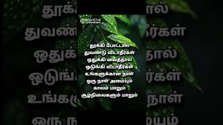 தன்னம்பிக்கை வார்த்தைகள்entertainment tamil motivation motivationalquotes love [upl. by Yornek]