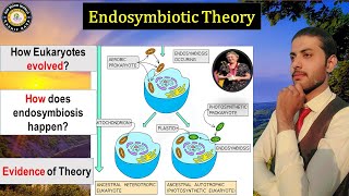 Endosymbiotic Theory   How to Evolve Prokaryote to Eukaryote Cell  Hindi [upl. by Drolet]