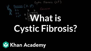 What is cystic fibrosis  Respiratory system diseases  NCLEXRN  Khan Academy [upl. by Rafa]