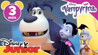 Vampyrina  Ullvis på hundutställning  Disney Junior Sverige [upl. by Idnahs651]