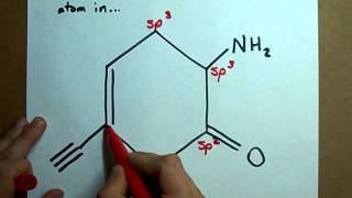 What is the hybridization of each atom in this molecule [upl. by Eneleuqcaj307]