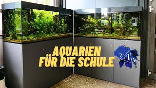 KRASSE AQUARIEN für die SCHULE I TAX [upl. by Enogitna]