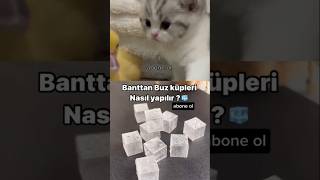 ERİMEYEN BUZ KÜPLERİ 🧊 beslenme tiktok youtubecreatorcommunity youtubecommunity youtubeshorts [upl. by Yorztif]