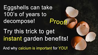 How to unlock the potential of eggshells in your garden [upl. by Dukie]