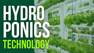 How Hydroponic Technology Is Revolutionizing Vegetable Farming [upl. by Htebharas]