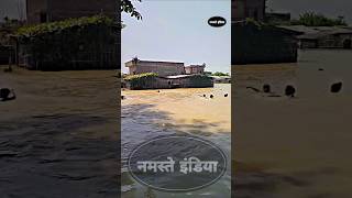 बाढ़ की समस्या से बिहार परेशान हैbiharflood saharsa supaul sitamarhi flood news kosinadi [upl. by Elatnahs1]