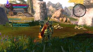 kingdom of amalur Reckoning  The Erathells Blessing Quest Guide [upl. by Ilenay786]