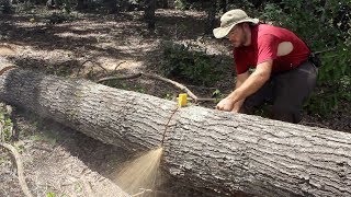 AMAZING Grain in a Quarter Sawn RED OAK [upl. by Immot740]