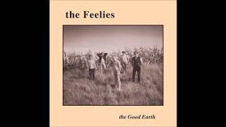 The Feelies  Two Rooms [upl. by Ellehcil]