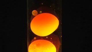 How To Make a Simple Lava Lamp At Home [upl. by Vallo234]