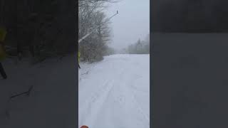 Upper Slalom Glade at Stratton Mountain Vermont [upl. by Neukam163]