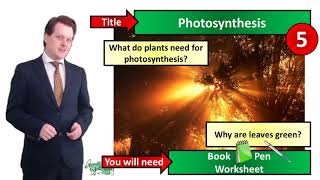 Photosynthesis and Leaf Adaptations  Biology  KS3  Key Stage 3  Mr Deeping [upl. by Appledorf]