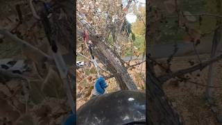 Cemetery cottonwood hanger climb with DMM Captain Hook [upl. by Mehetabel305]