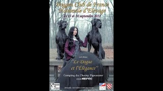 NEUVIC 2018 DOGGEN CLUB DE FRANCE [upl. by Charin]