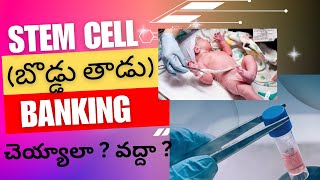 NewBorn Stem Cell Banking  చెయ్యాలా వద్దా cord blood stem cell preservation  Cryovault [upl. by Vastha]