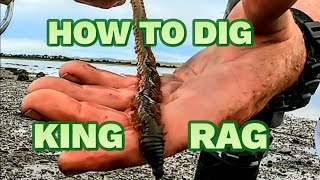 How to dig king Ragworm and why I hate my Brother [upl. by Atsyrc577]