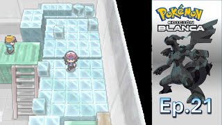 ¿QUÉ HABRÁ en los ALMACENES FRIGORÍFICOS POKEMON BLANCO Cutrigameplay sin comentarios [upl. by Sikorski]