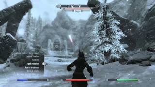 G4G The Elder Scrolls V Skyrim Guía 100  Español Parte 143 Misiones de Falkreath [upl. by Gav]