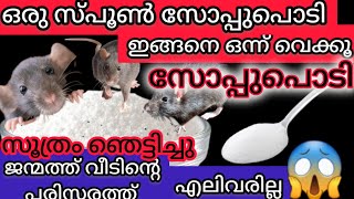 എലികൾ കൂട്ടത്തോടെ തലതെറിച്ച് ഓടും😱 ബംഗാളി പറഞ്ഞുതന്ന കിടിലൻ സൂത്രംGet rid of rats with soap powder [upl. by Dwane]