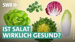 Gartensalate Bittersalate amp Co – das steckt wirklich drin  Marktcheck SWR [upl. by Citron]