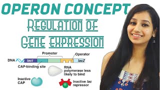 Operon Concept  Regulation of Gene ExpressionMolecular BiologyCSIRNETGATEIITJAMICARICMRDBT [upl. by Mailand]