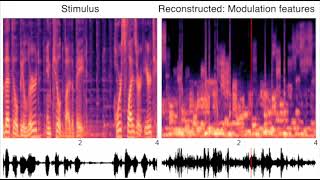 Reconstructed sounds using different auditory features Park et al 2024 S3 [upl. by Ymorej]