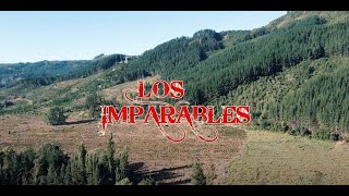 Te esperaba  Los Imparables de San Javier  VIDEO OFICIAL [upl. by Vargas750]