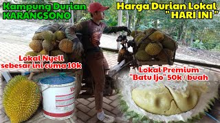 Harga durian lokal langsung dari petani di kampung durian karangsono [upl. by Aerdnaed]