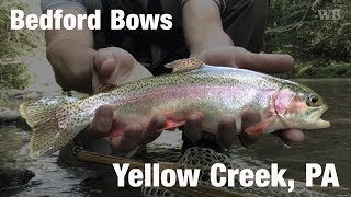 Fly Fishing Yellow Creek Bedford County PA  Wooly Bugged [upl. by Hanae90]