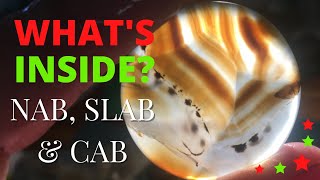 WHATS INSIDE Slabbing and cabbing AGATES petrified wood and more [upl. by Atled]