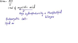 How many moles of ATP are produced by the complete oxidation of 1 mol of myristic acid [upl. by Ahsiuqet]