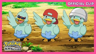 Thieving Ducklett Trio  Pokémon Black amp White  Official Clip [upl. by Waterman]