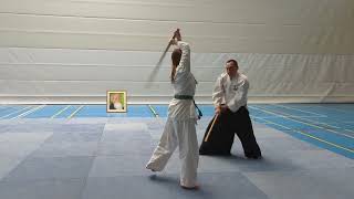 Aikido  BokkenTraining [upl. by Nowad]