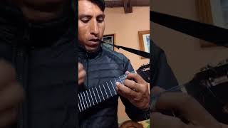 TUTORIAL CHARANGO CARNAVAL DE BETANZOS JACHA MALLKU [upl. by Eanore]