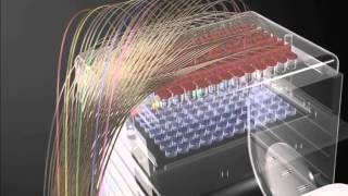 Free Flow Electrophoresis FFE how it works [upl. by Meri913]