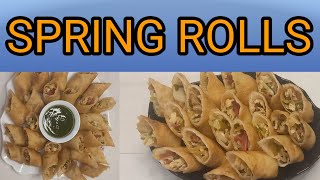 How to make spring rollsspring rolls recipe by Zeez kitchenvegetable rolls recipeZeez kitchen [upl. by Nanor]