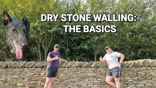 How to build a Dry Stone Wall The Basics [upl. by Aeirdna]