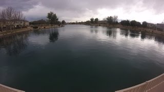 Sahuarita Lake Fishing  RAINBOW TROUT [upl. by Ednyl440]