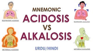 Mnemonic Acidosis Vs Alkalosis  UrduHindi [upl. by Sommers]