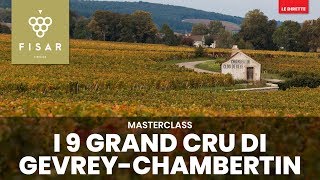 I 9 Grand Cru di GevreyChambertin [upl. by Kenta122]